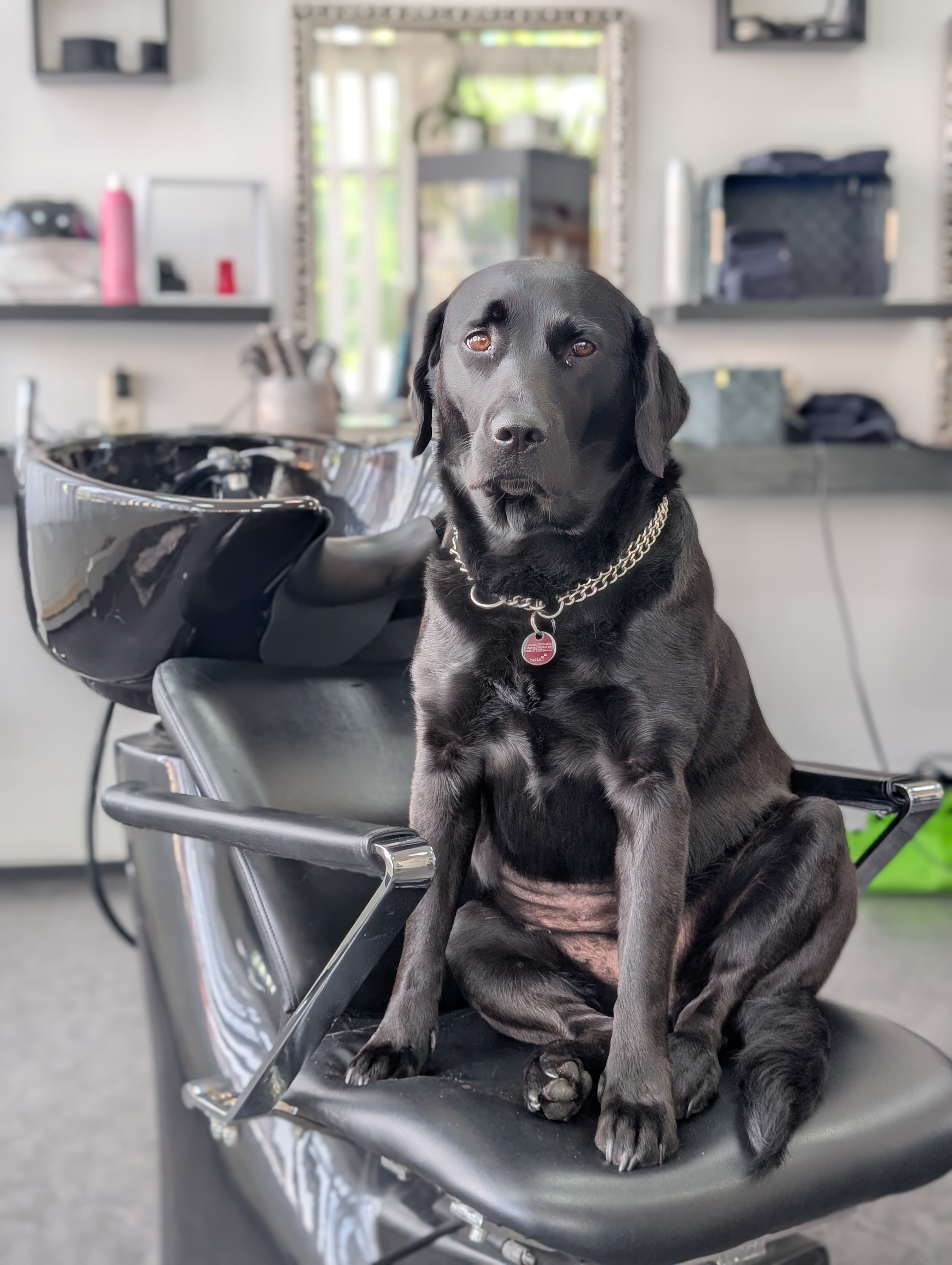 Chefin im Salon C. W. Ihr Friseur